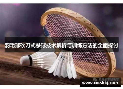 羽毛球砍刀式杀球技术解析与训练方法的全面探讨