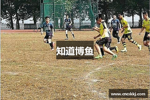 知道博鱼